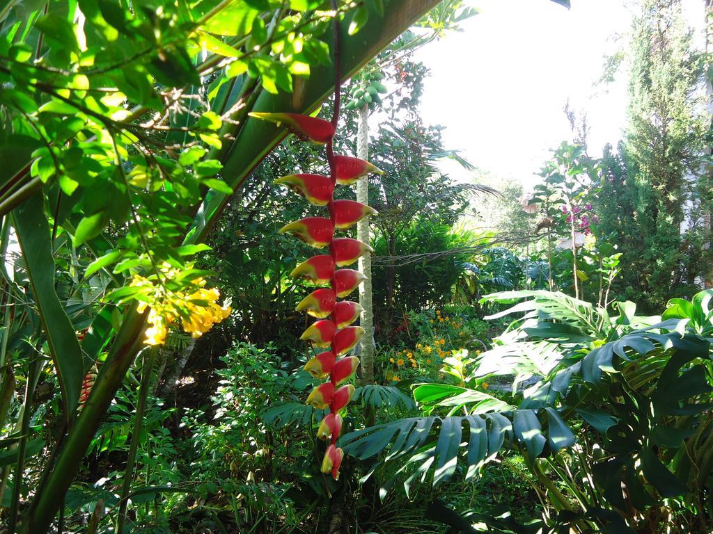 Hostal Pachamama ซานอากุสติน ภายนอก รูปภาพ