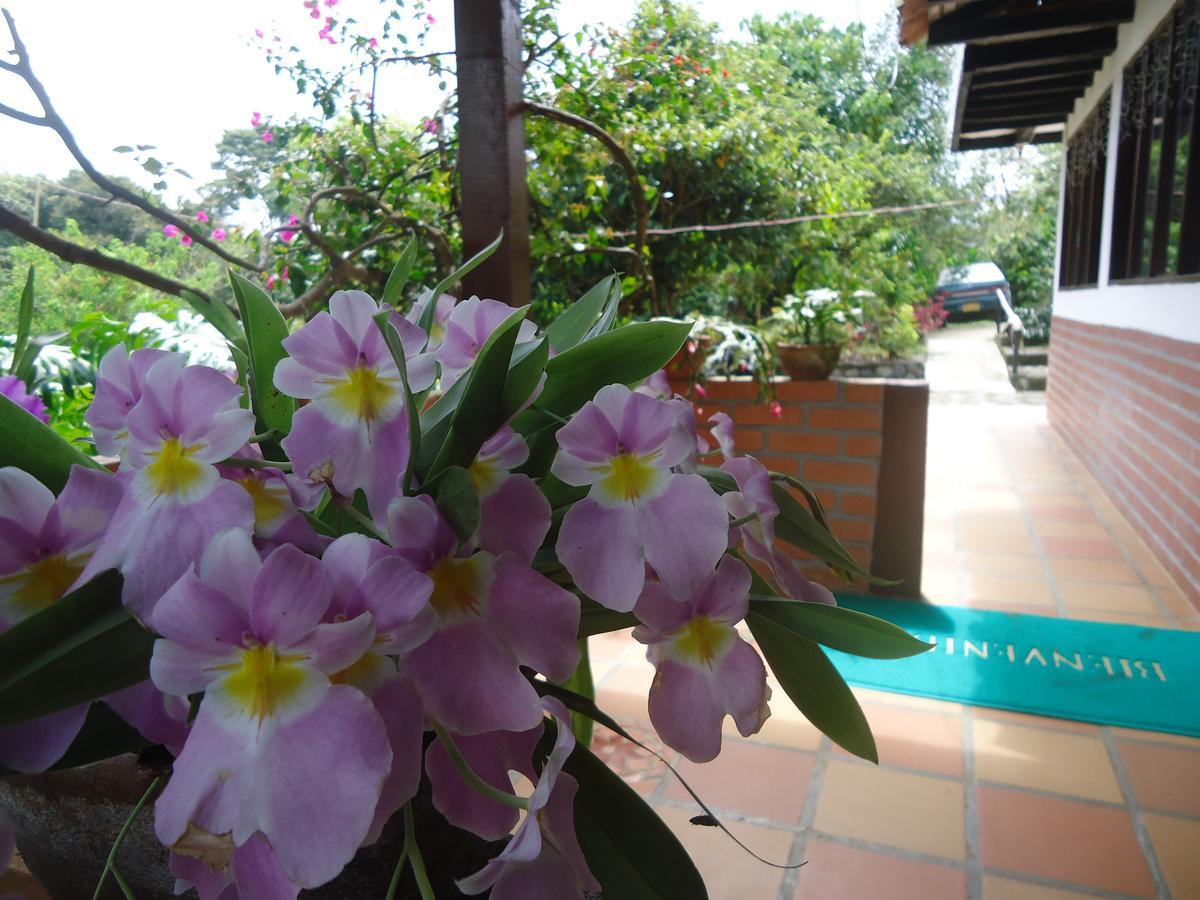 Hostal Pachamama ซานอากุสติน ภายนอก รูปภาพ